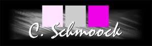 Logo Schmoock Design
